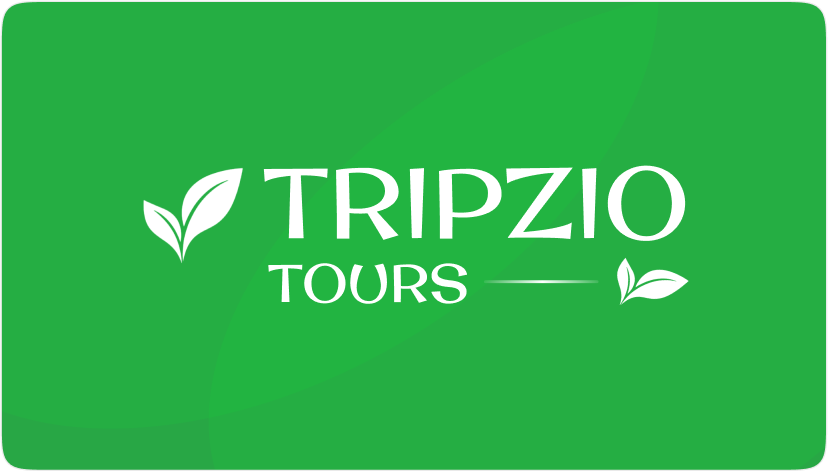 Tripzio Tour Overview - Explore the World | Expert Squad