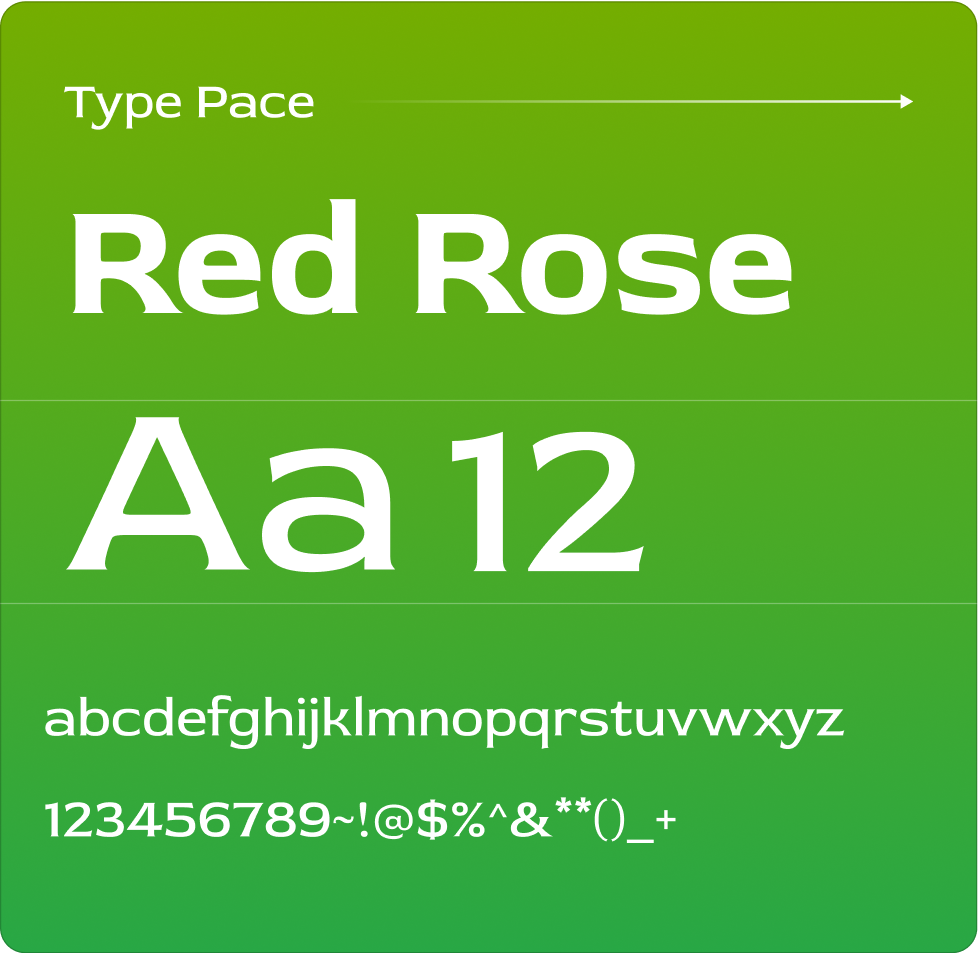Tripzio Tour Typography & Color - Explore the World | Expert Squad