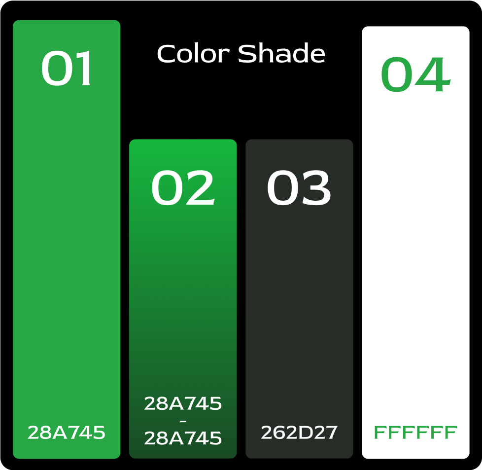 Tripzio Tour Typography & Color - Explore the World | Expert Squad